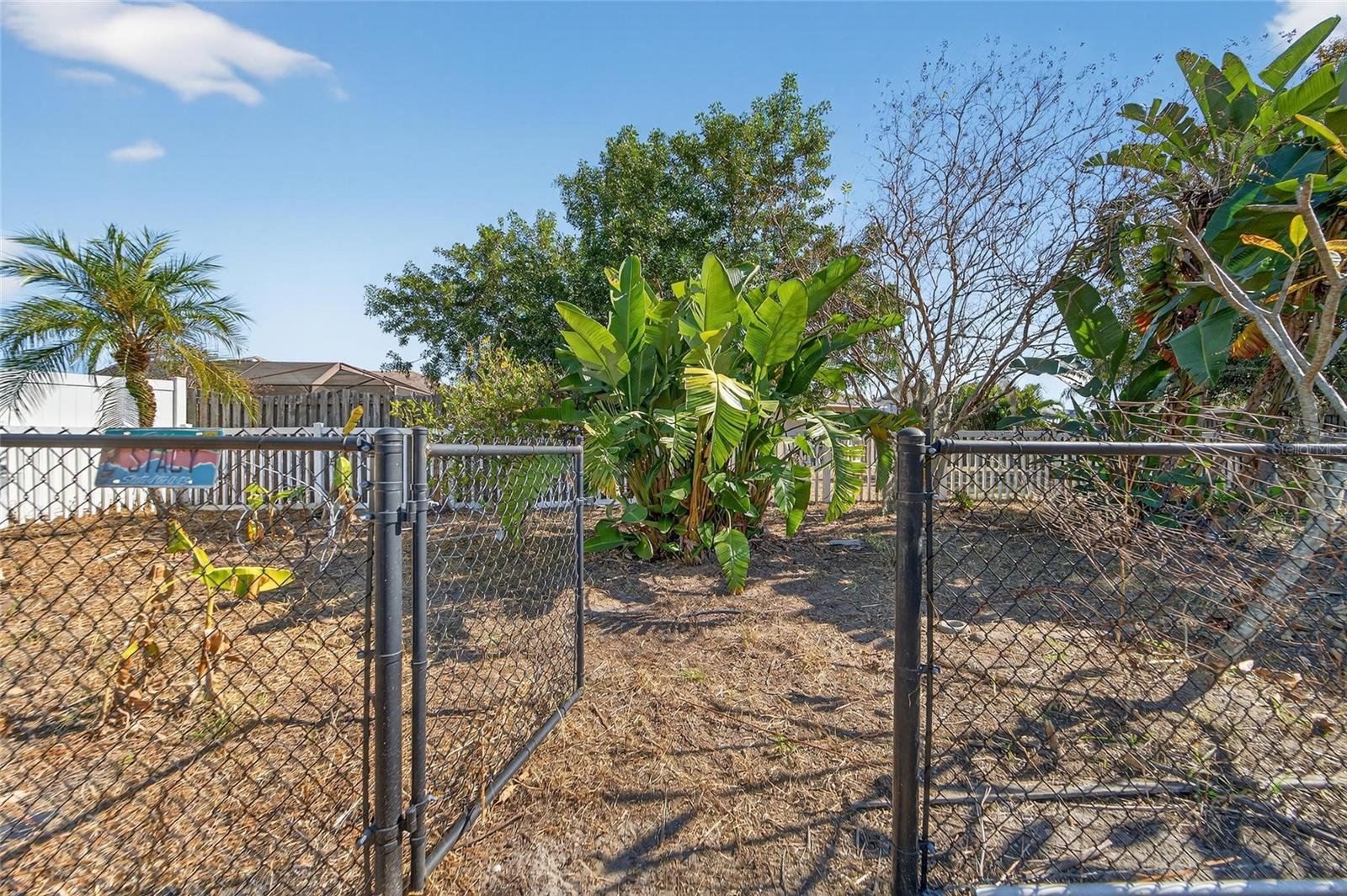 Florida friendly garden