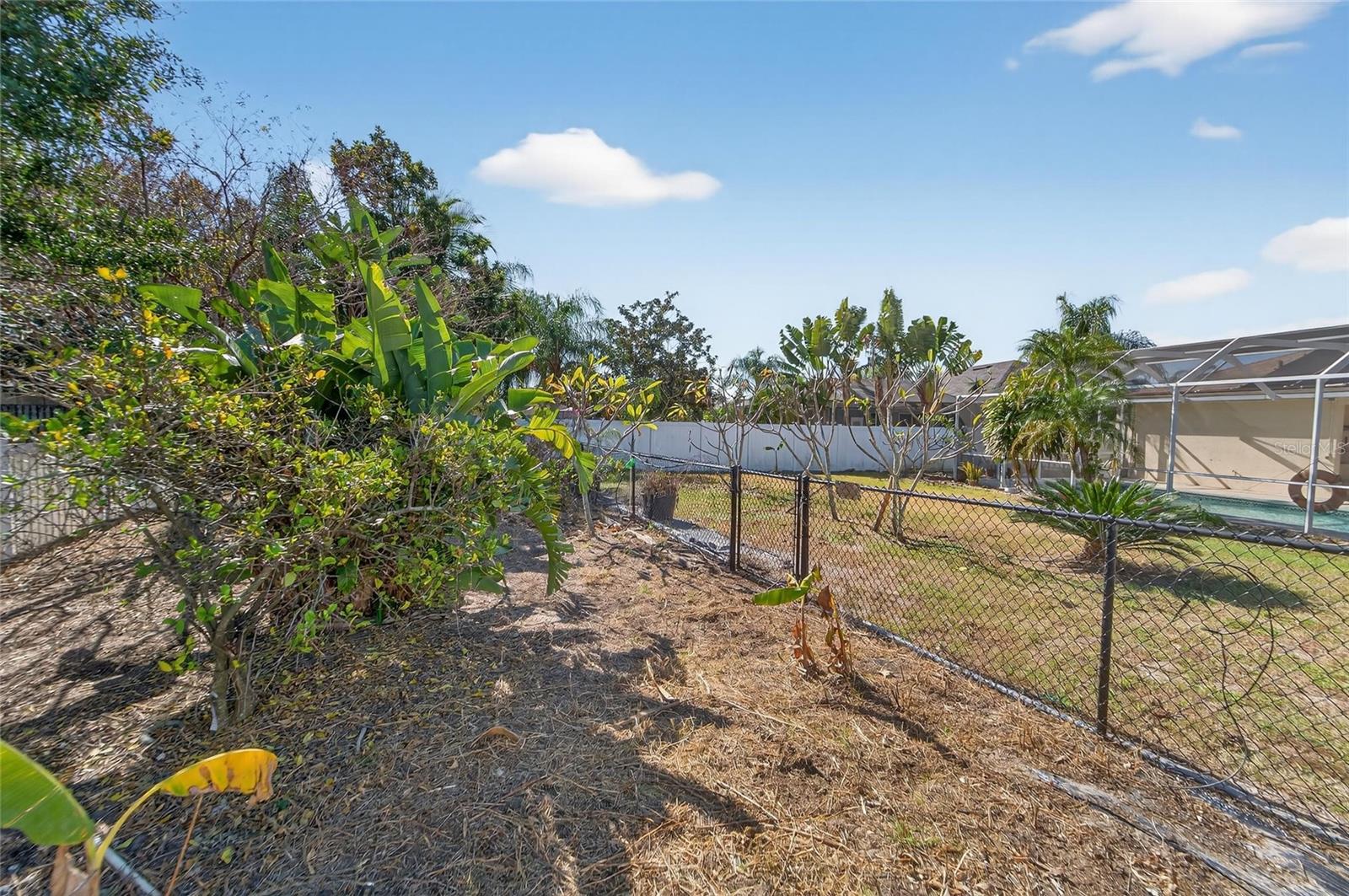 Florida friendly garden
