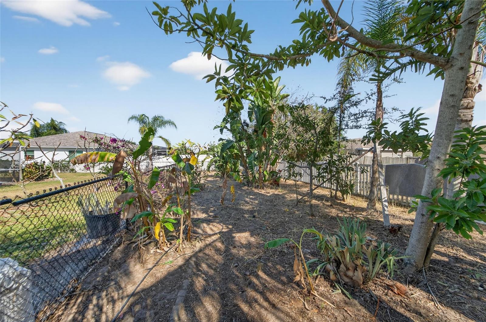 Florida friendly garden