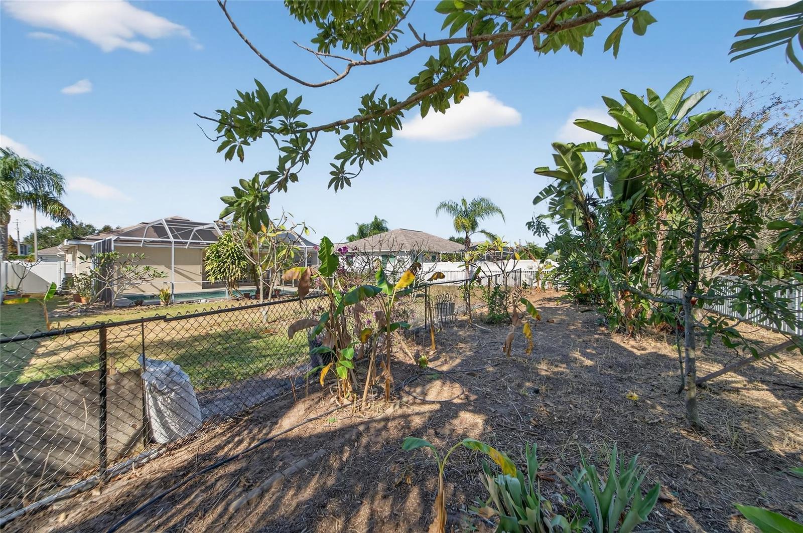 Florida friendly garden