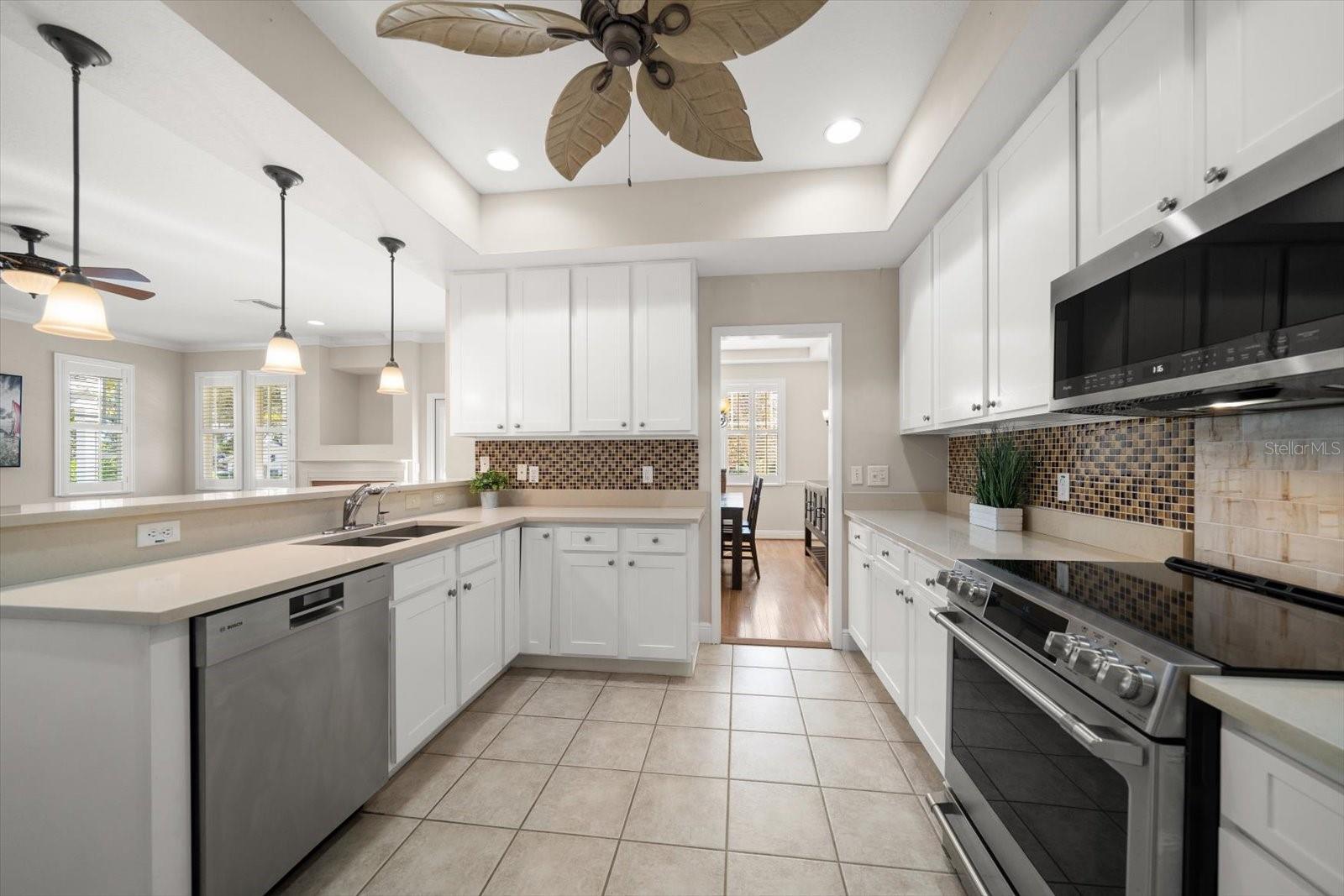 Kitchen with tray ceilings, walk in pantry, and closet