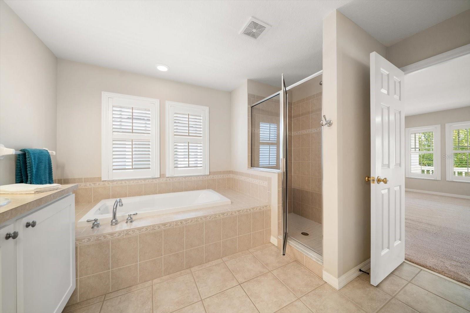 Master bathroom with garden tub