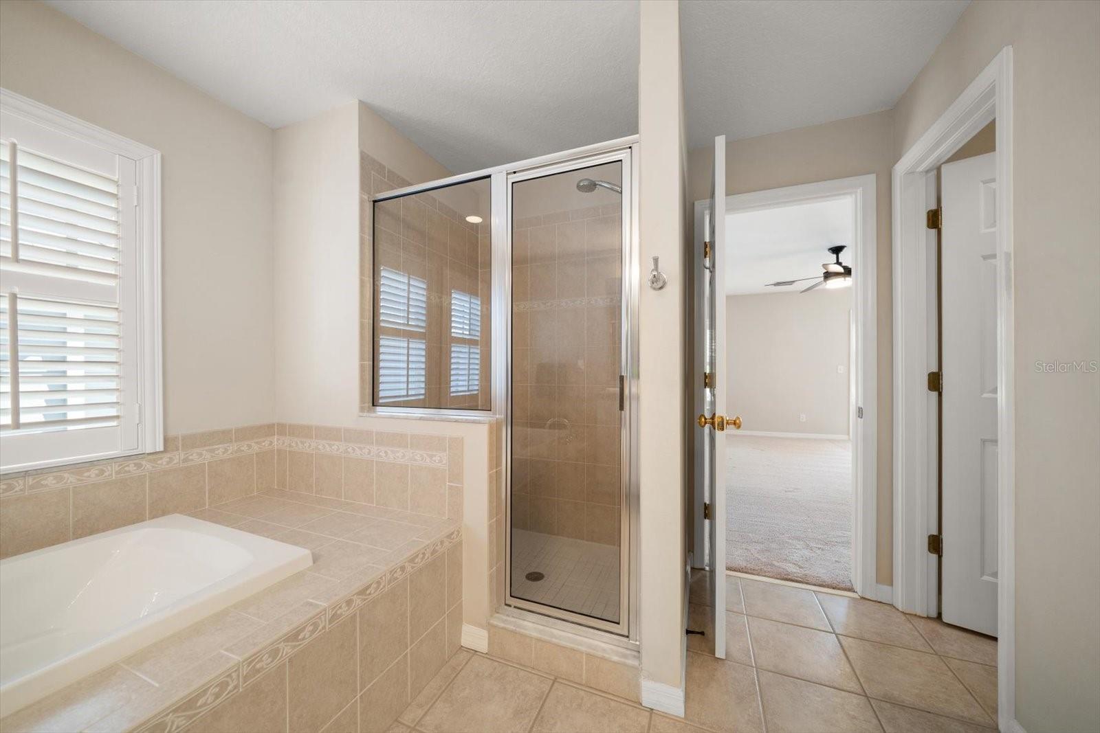Master bathroom with separate shower