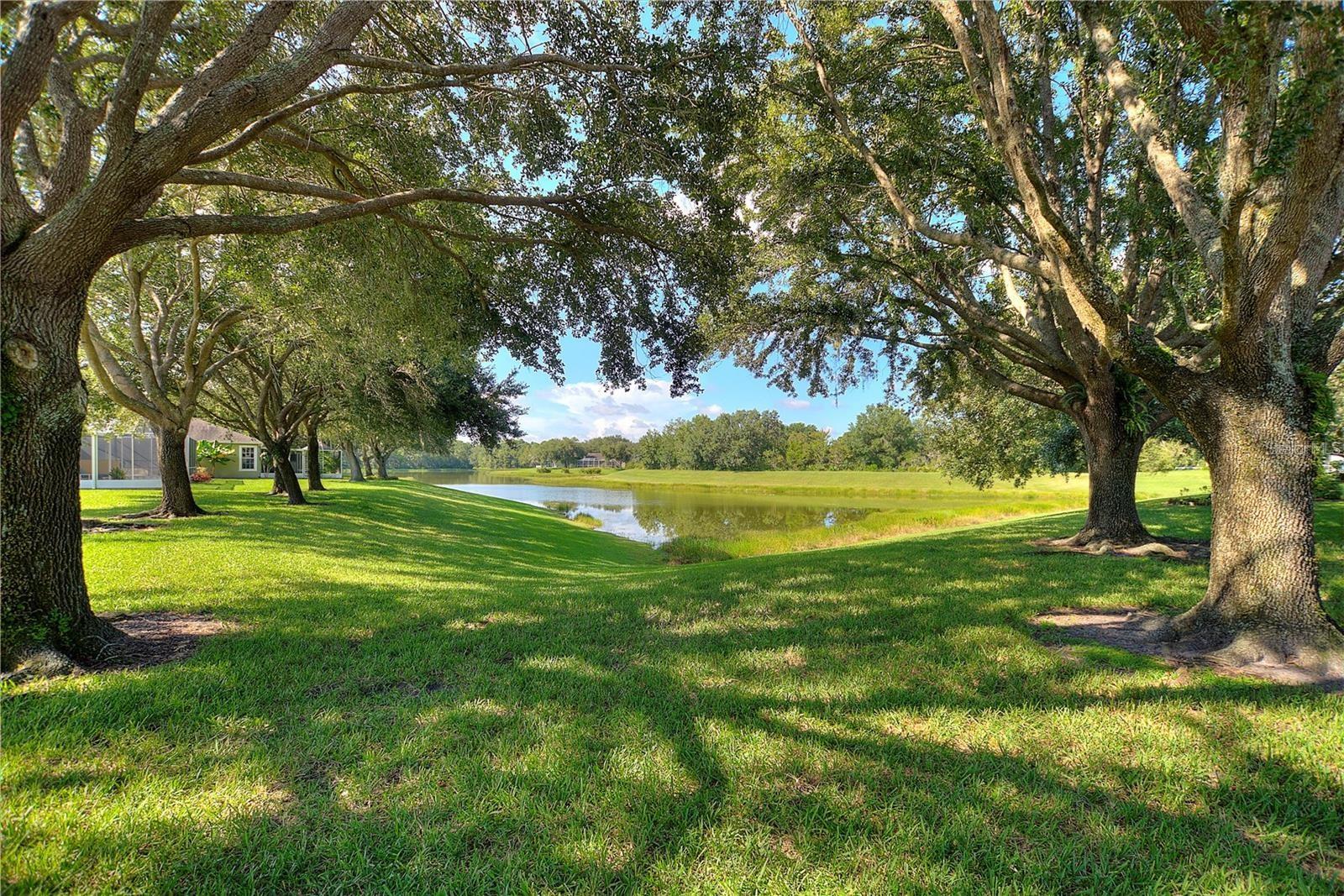 Water view from patio