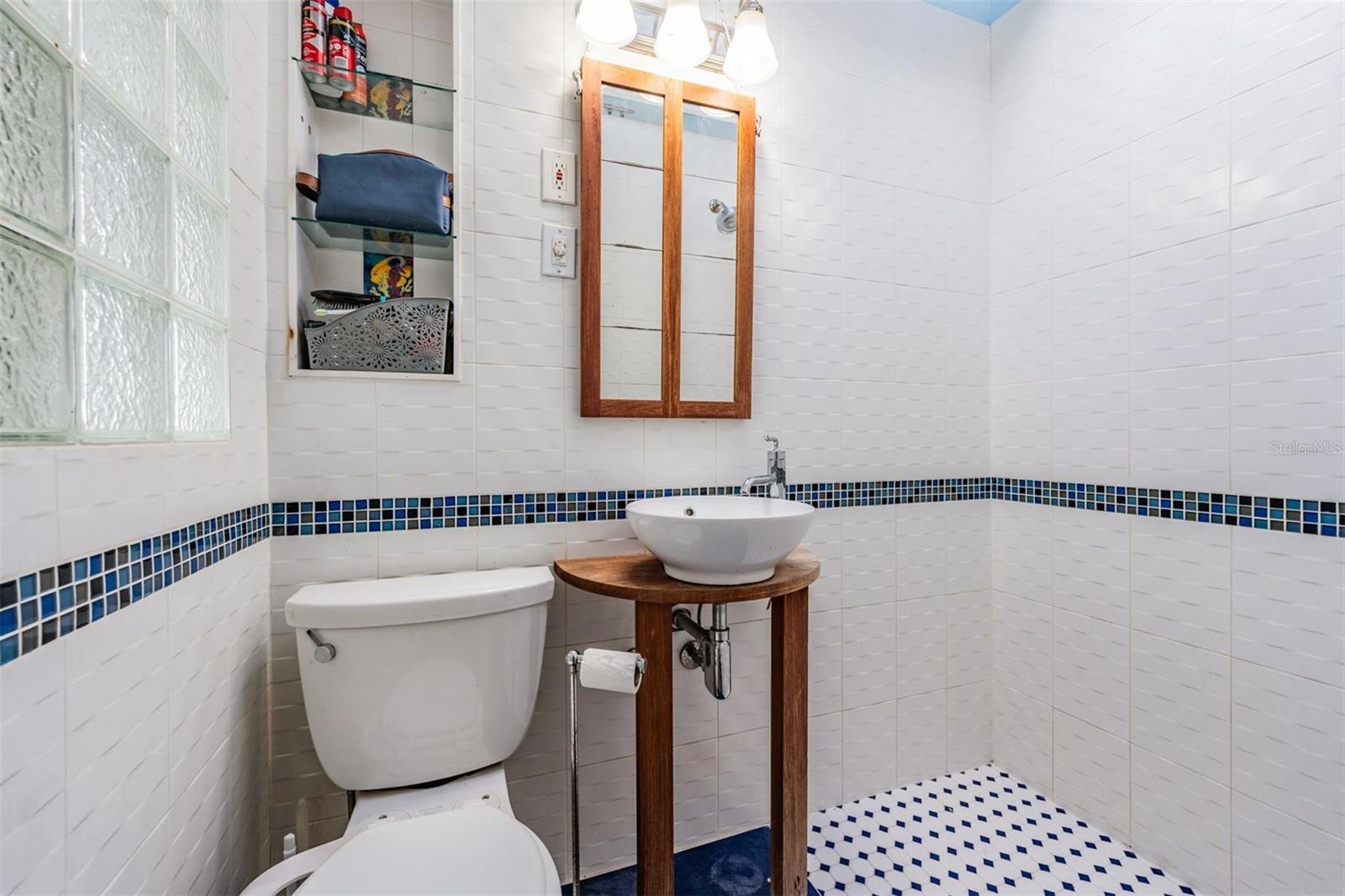 Primary bathroom with skylight