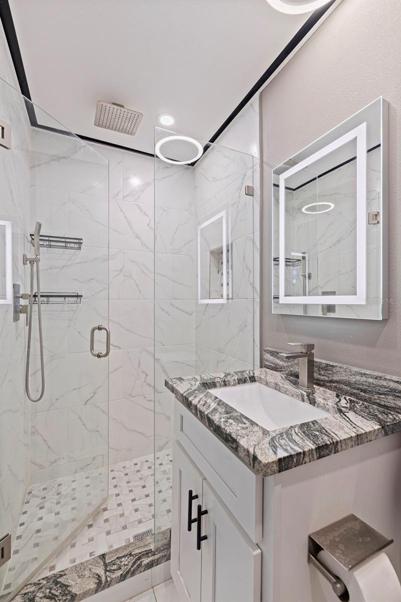 Primary bathroom, w/ rain shower head.
