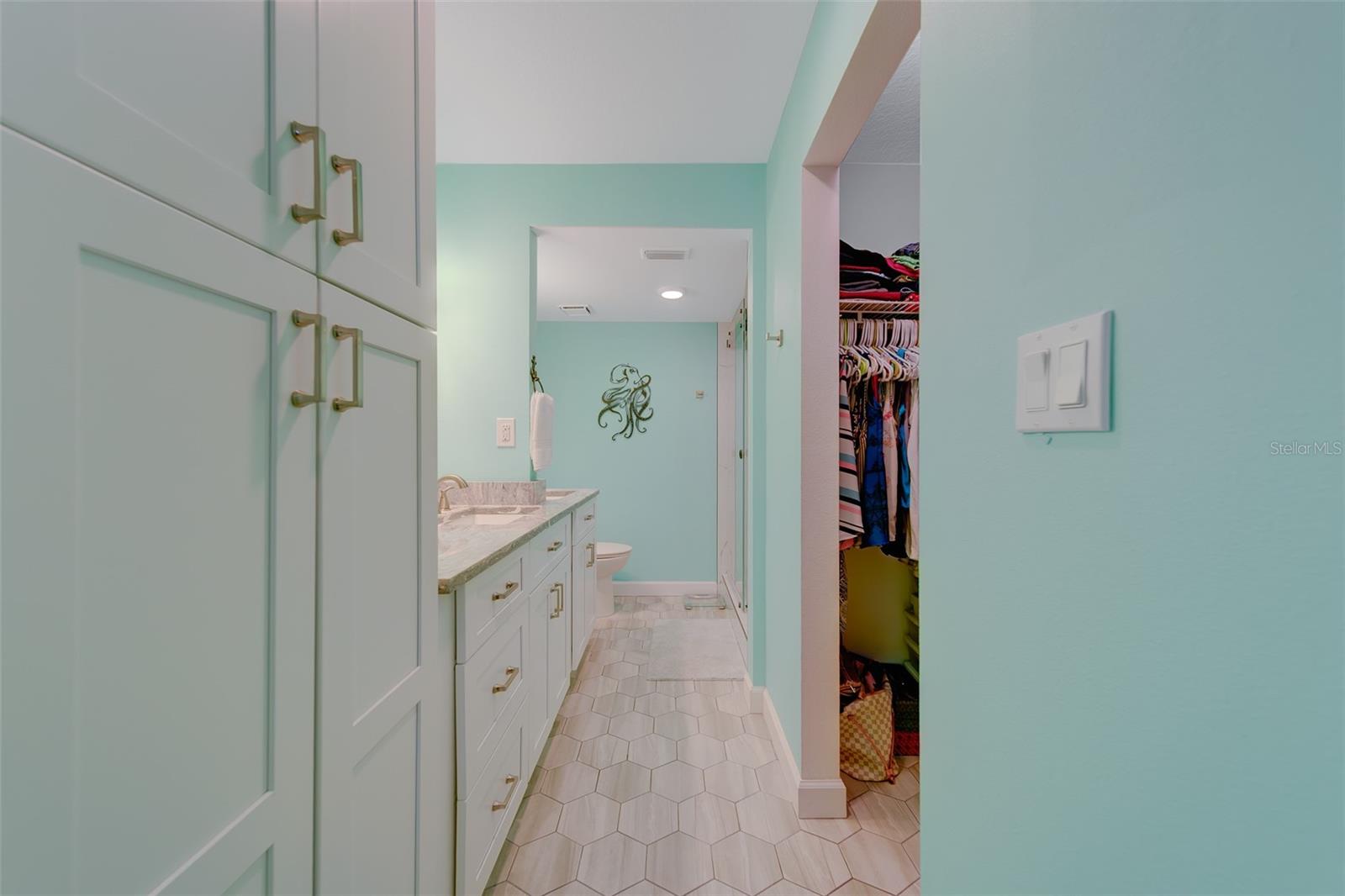 Master Bathroom and closest area