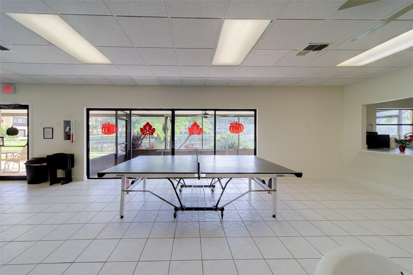 Ping Pong Table