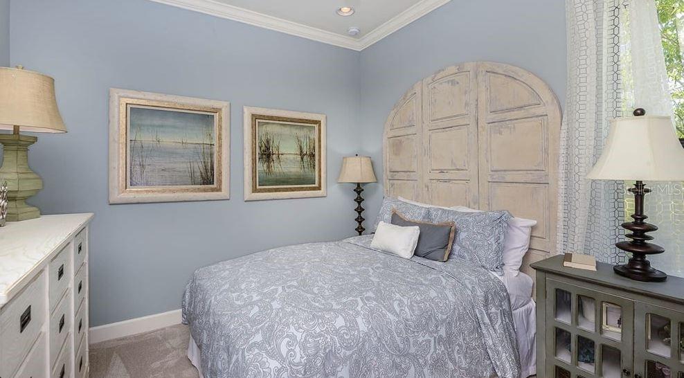 Representative Photos