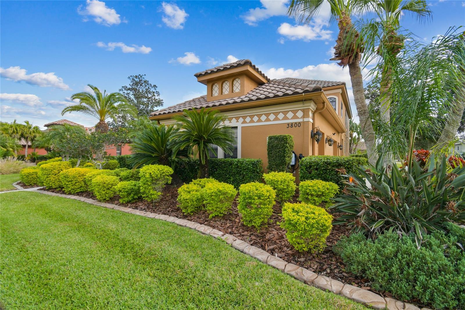 Florida landscaping.