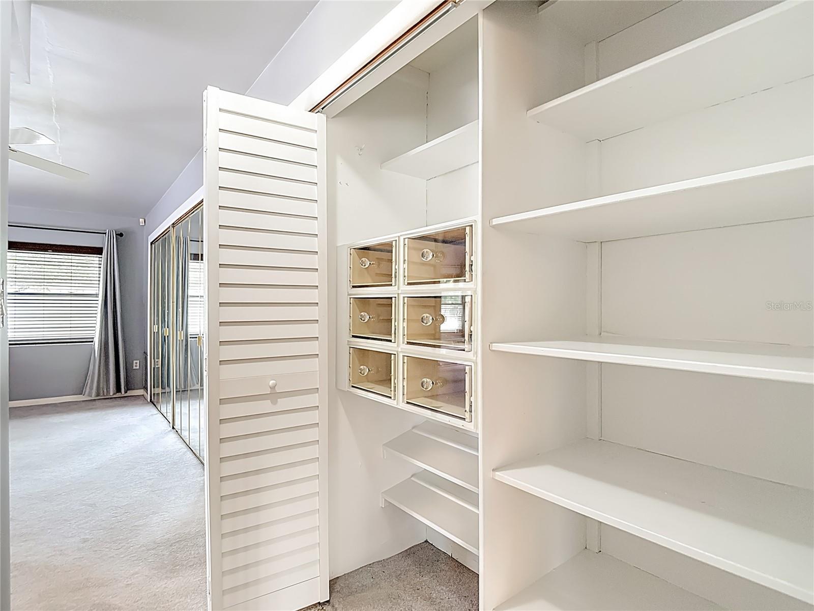 Vintage Closet Section with Organizers