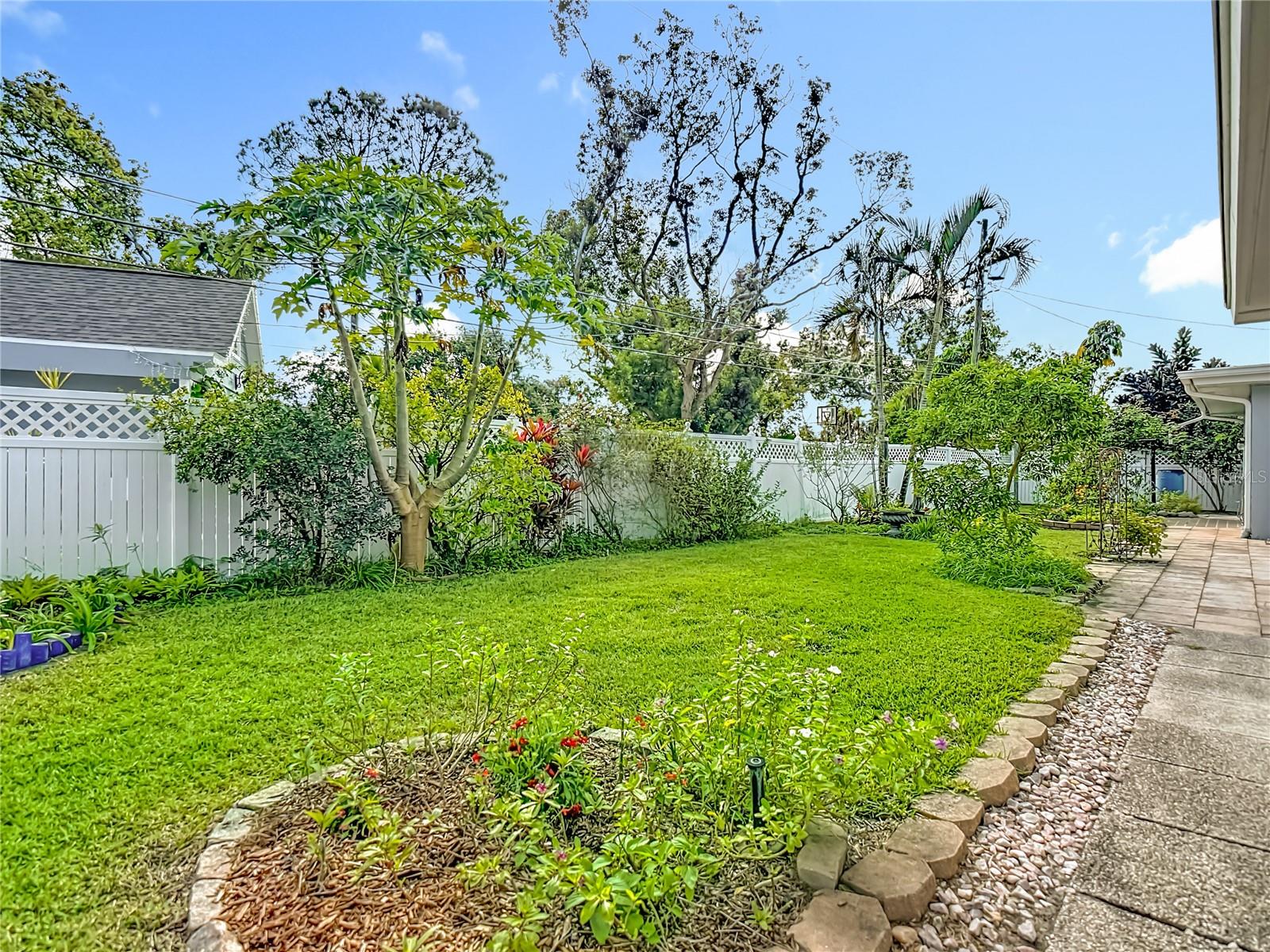 Rear Green Space - Tropical and Flowering Trees and Plants