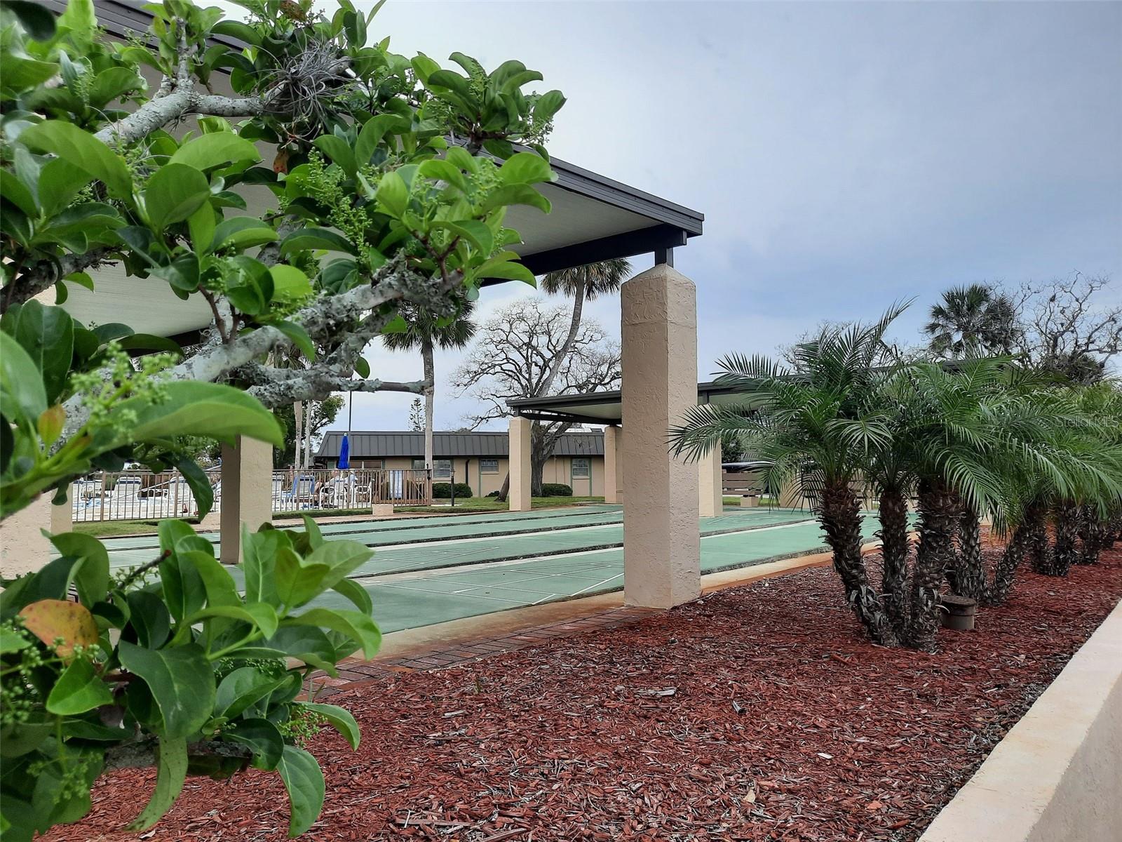 Shuffleboard court