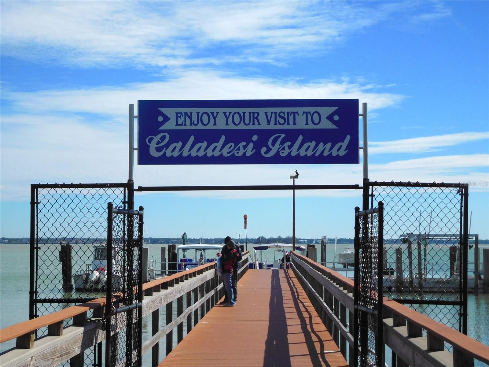 Take a ferry to Caladesi Island State Park