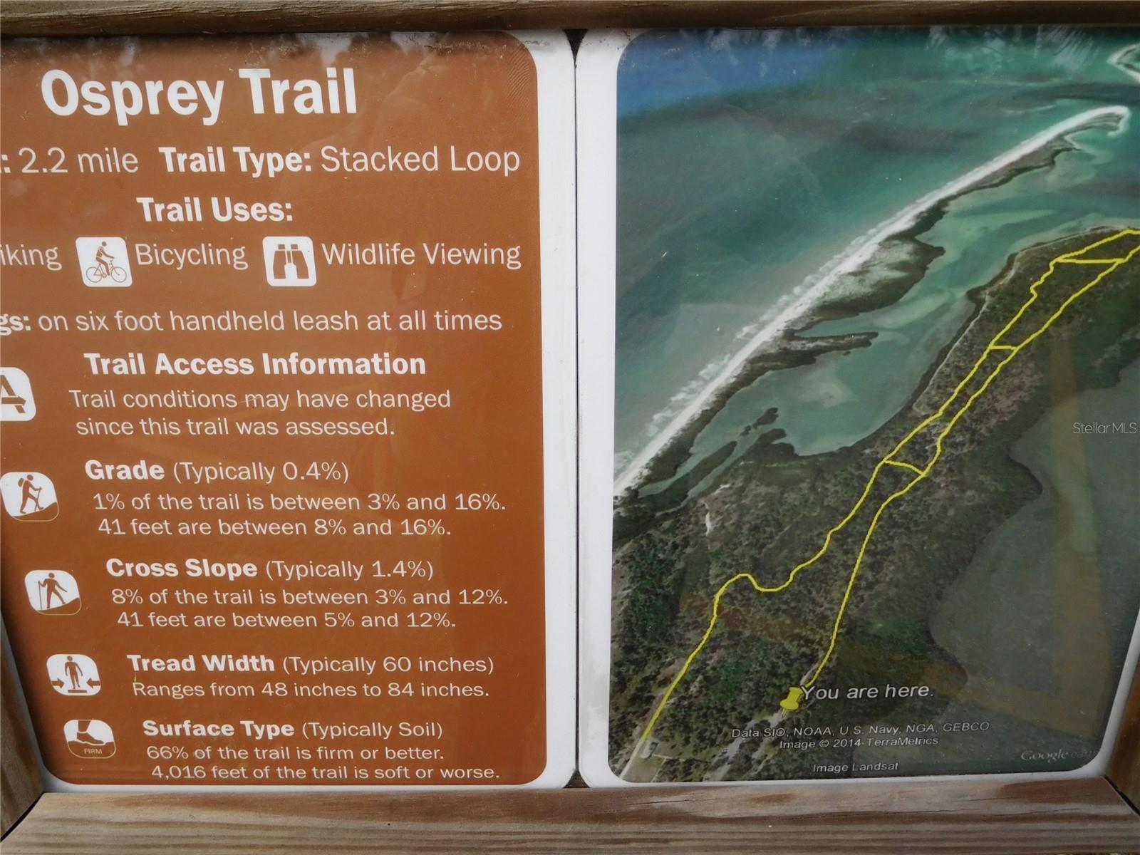 Walk the trail and see the eagle nest and gopher tortoises