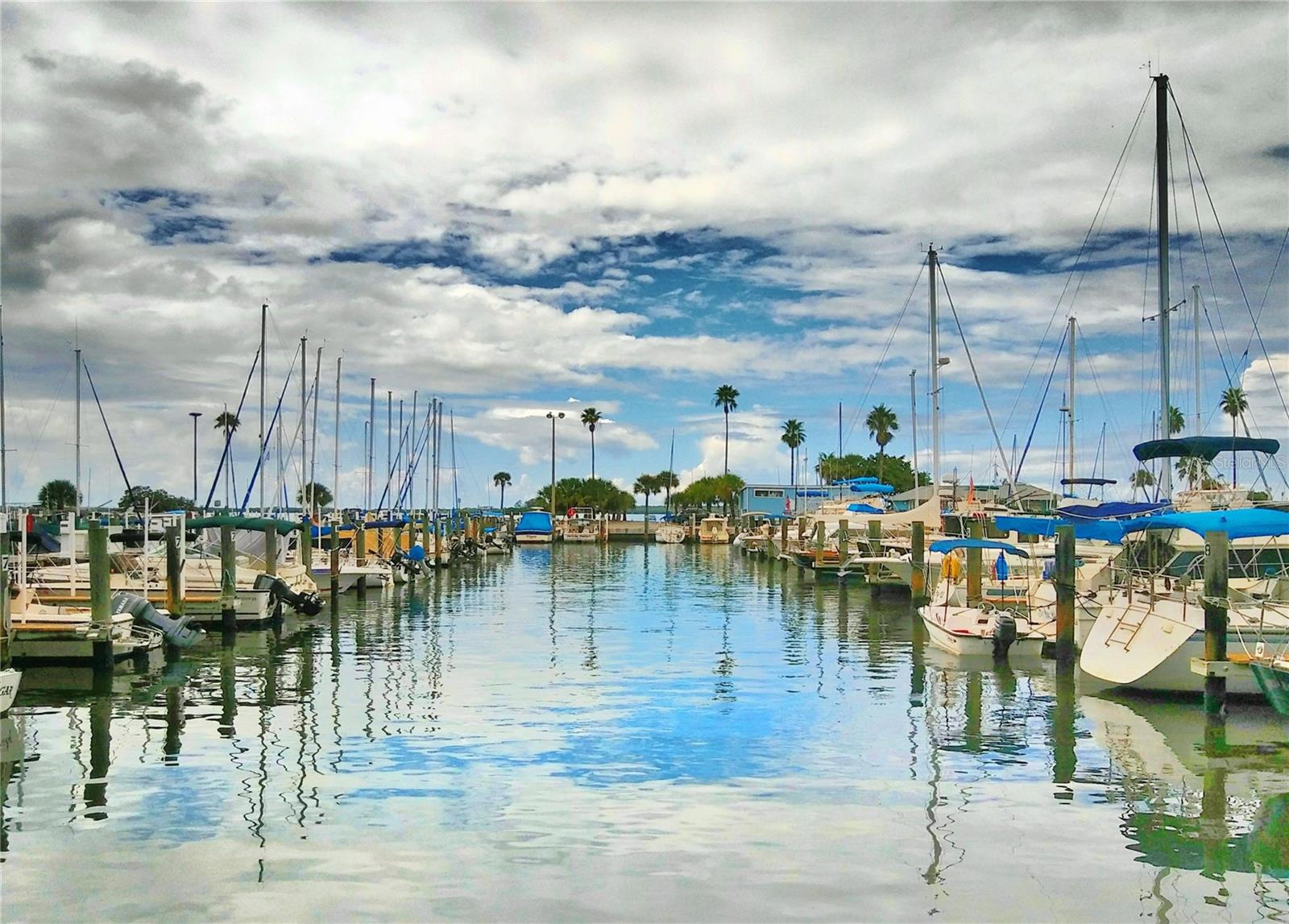 Dunedin Marina downtown