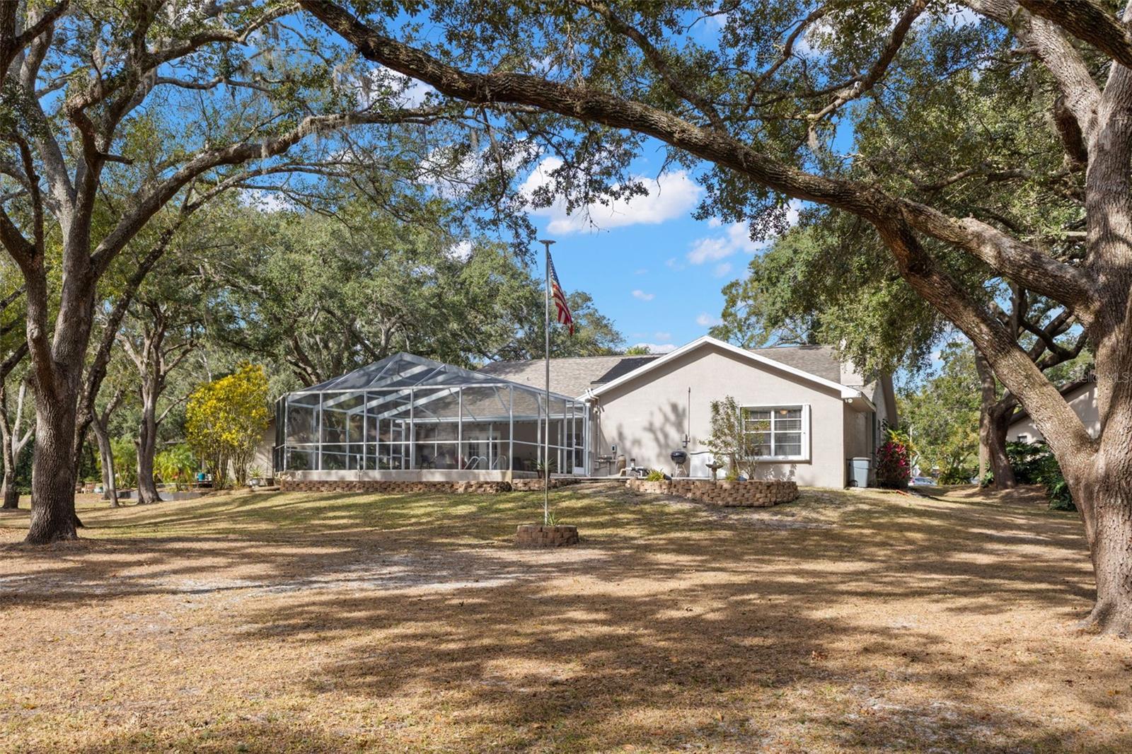 Backyard looking towards home