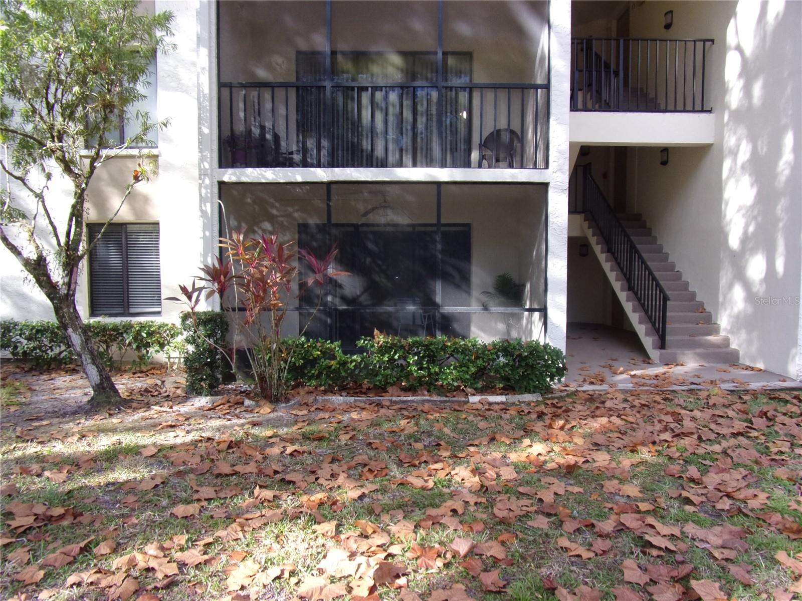 Conservation / Pond View