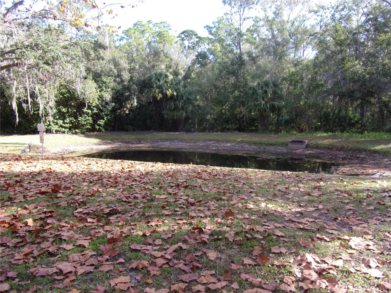 Pond and Wildlife this is a peaceful tranquil area