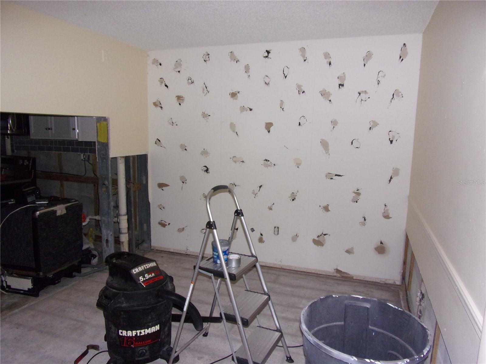 Dining area and kitchen snack bar