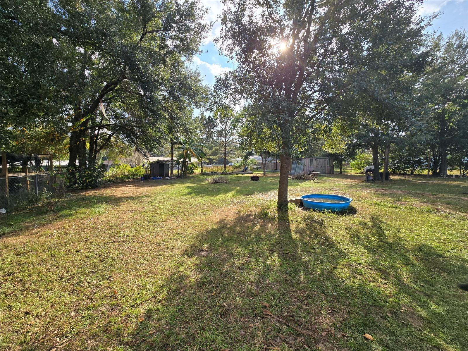 View of the backyard