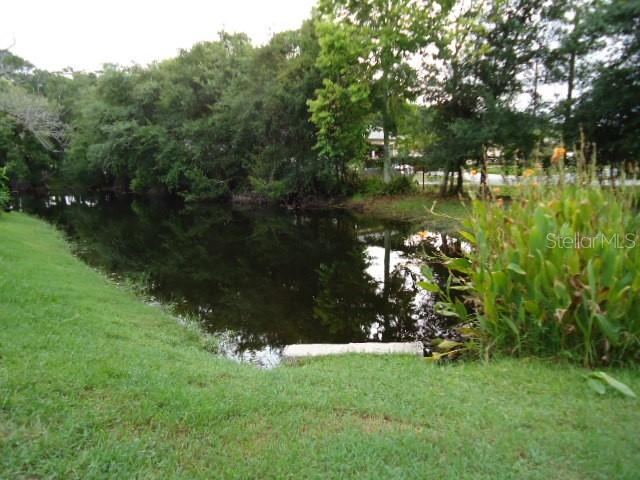 Pond behind fencing