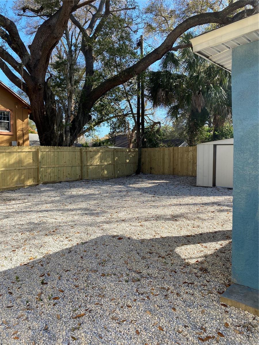 Backyard - fence is now painted