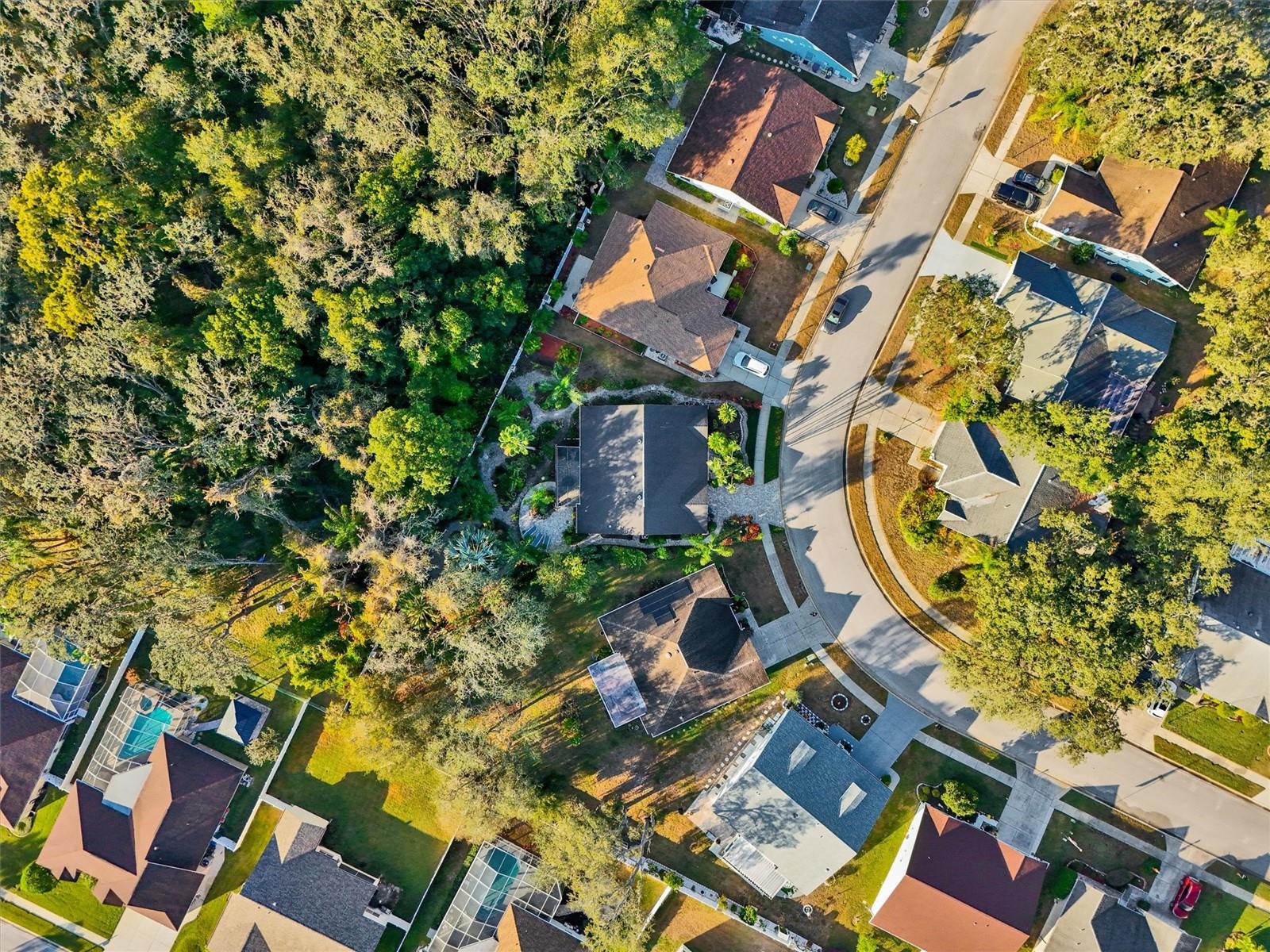 Undeveloped land backs the rear yard making a private oasis.