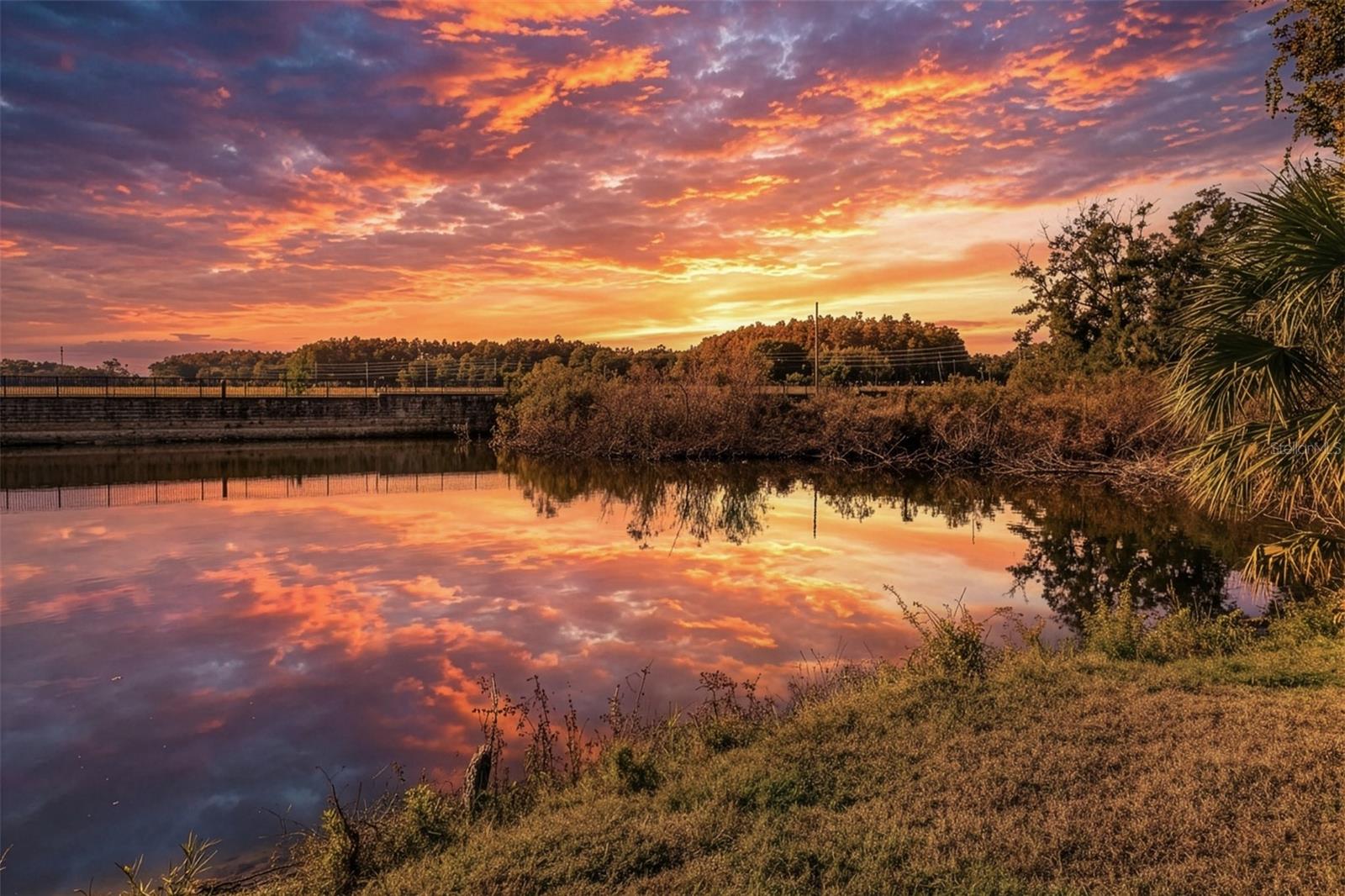 view at sunset from back patio