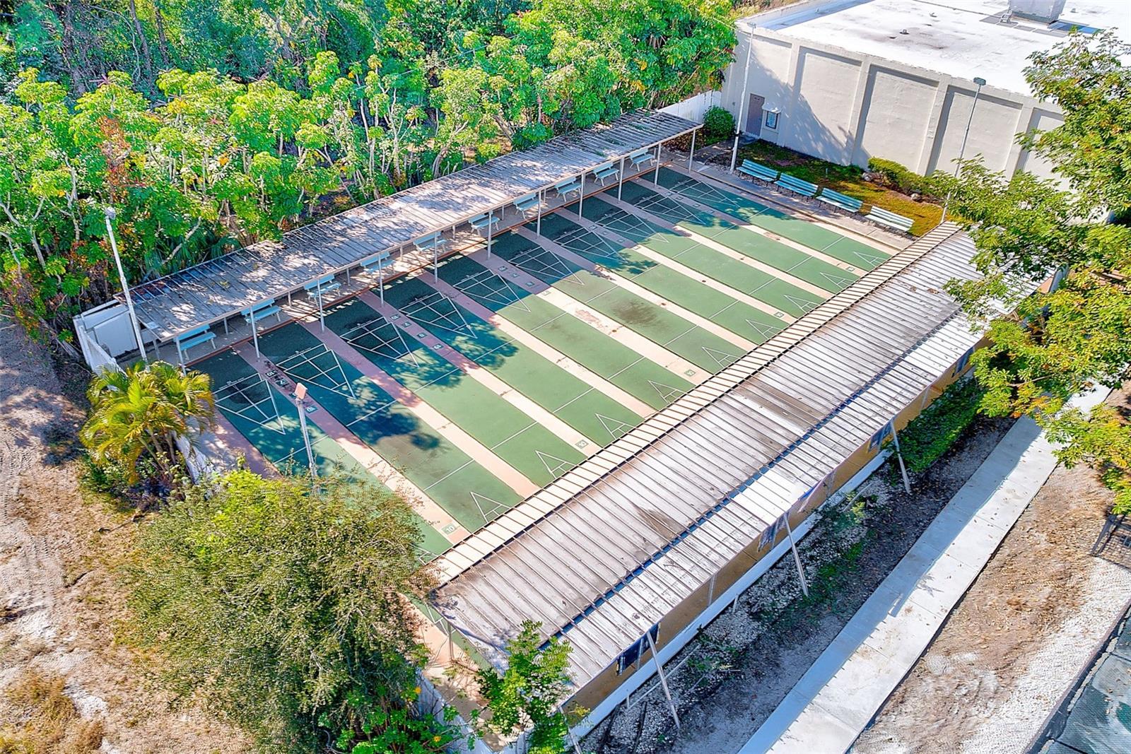 Shuffleboard Courts