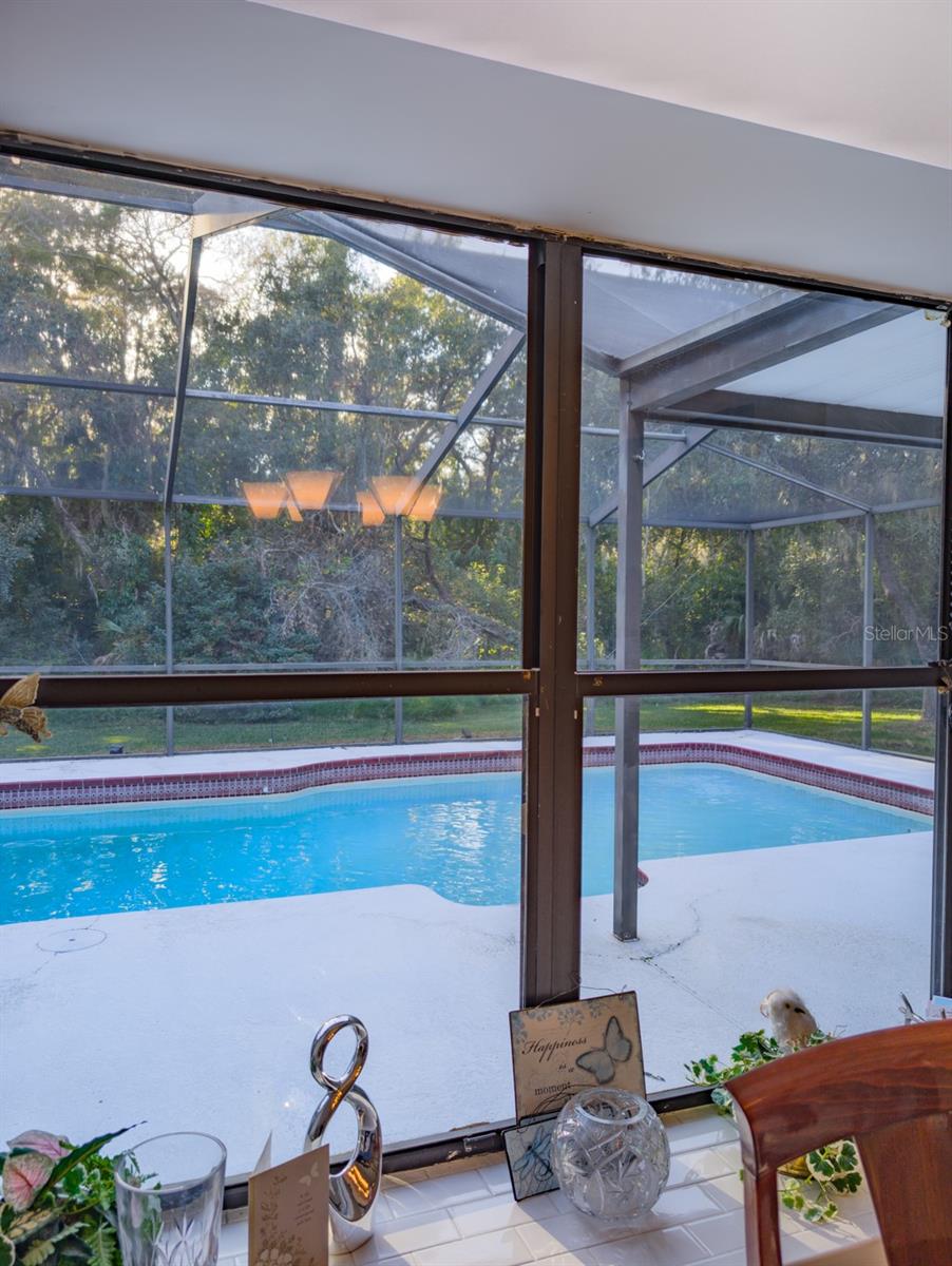 nature views from every window