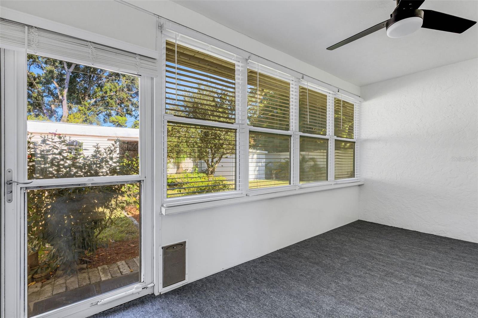 Newer windows and a doggy door!