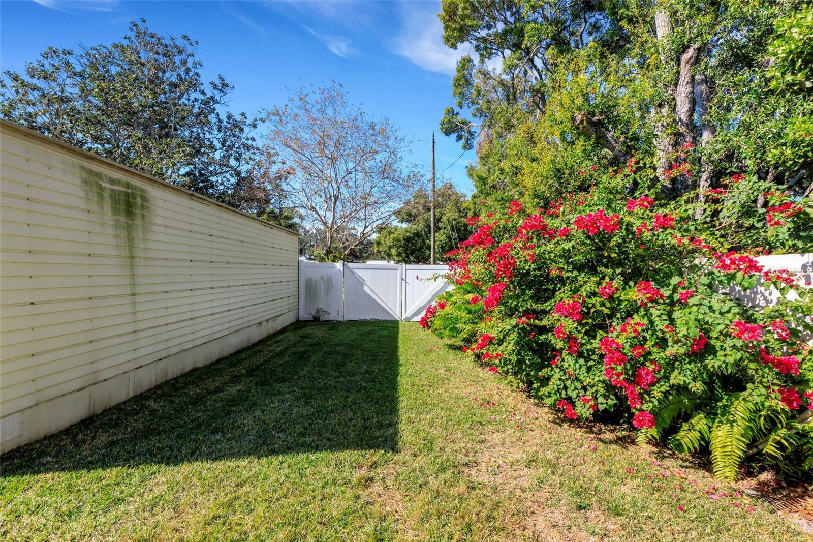 space between drive in shed and house