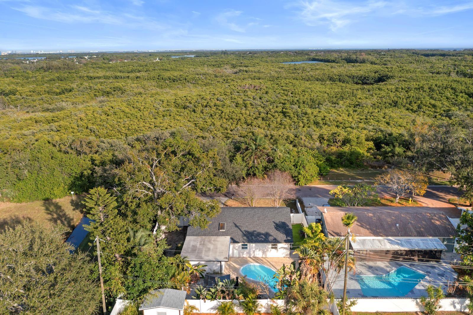 Surrounded by Nature and Tranquility