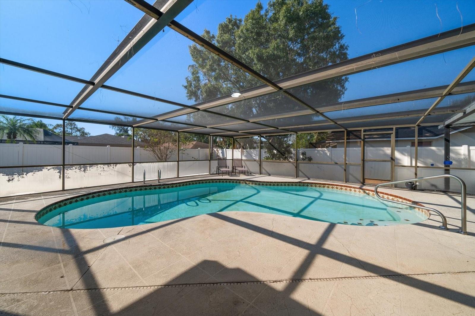 Pool with screen enclosure