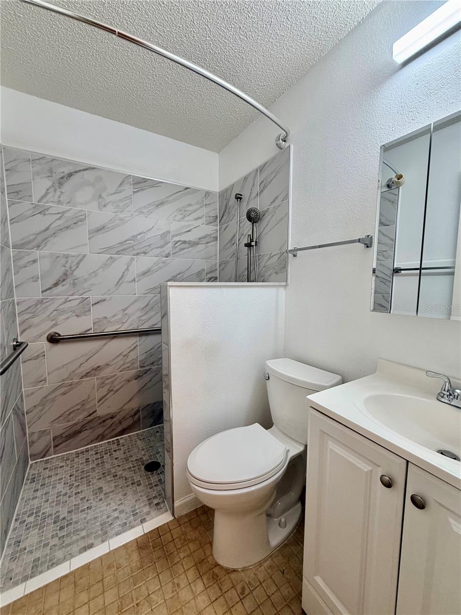 Primary Accessible Bathroom
