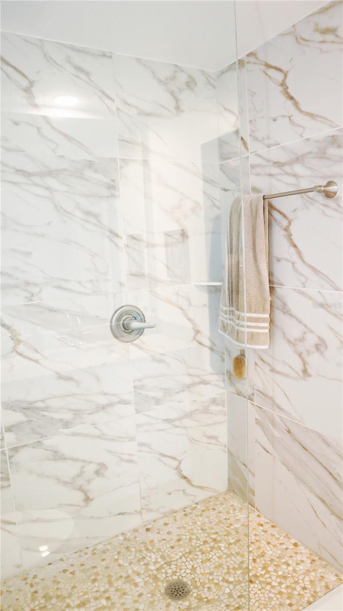 Master Bathroom Shower