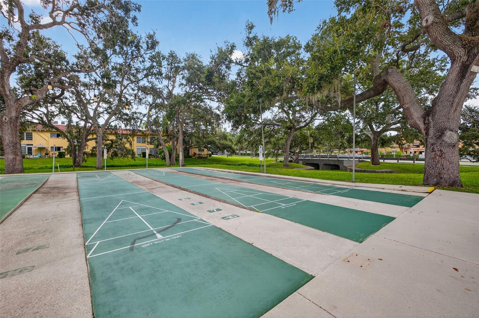 Shuffleboard courts