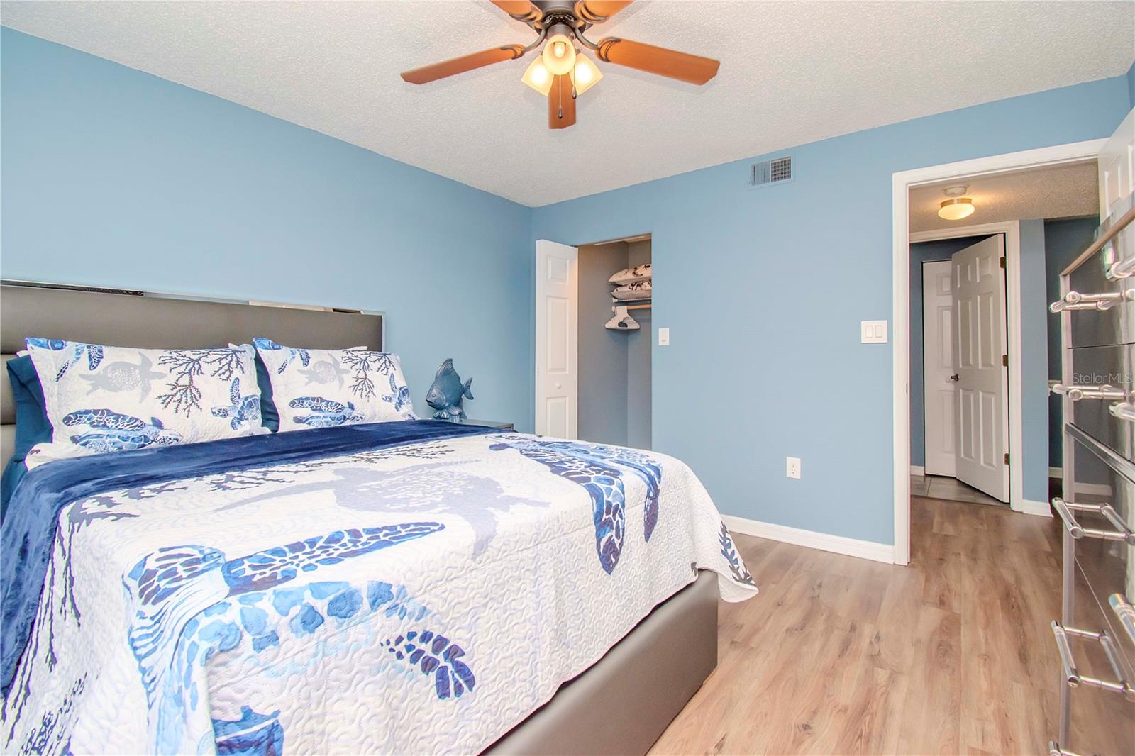 2nd Bedroom w/ Walk-In Closet