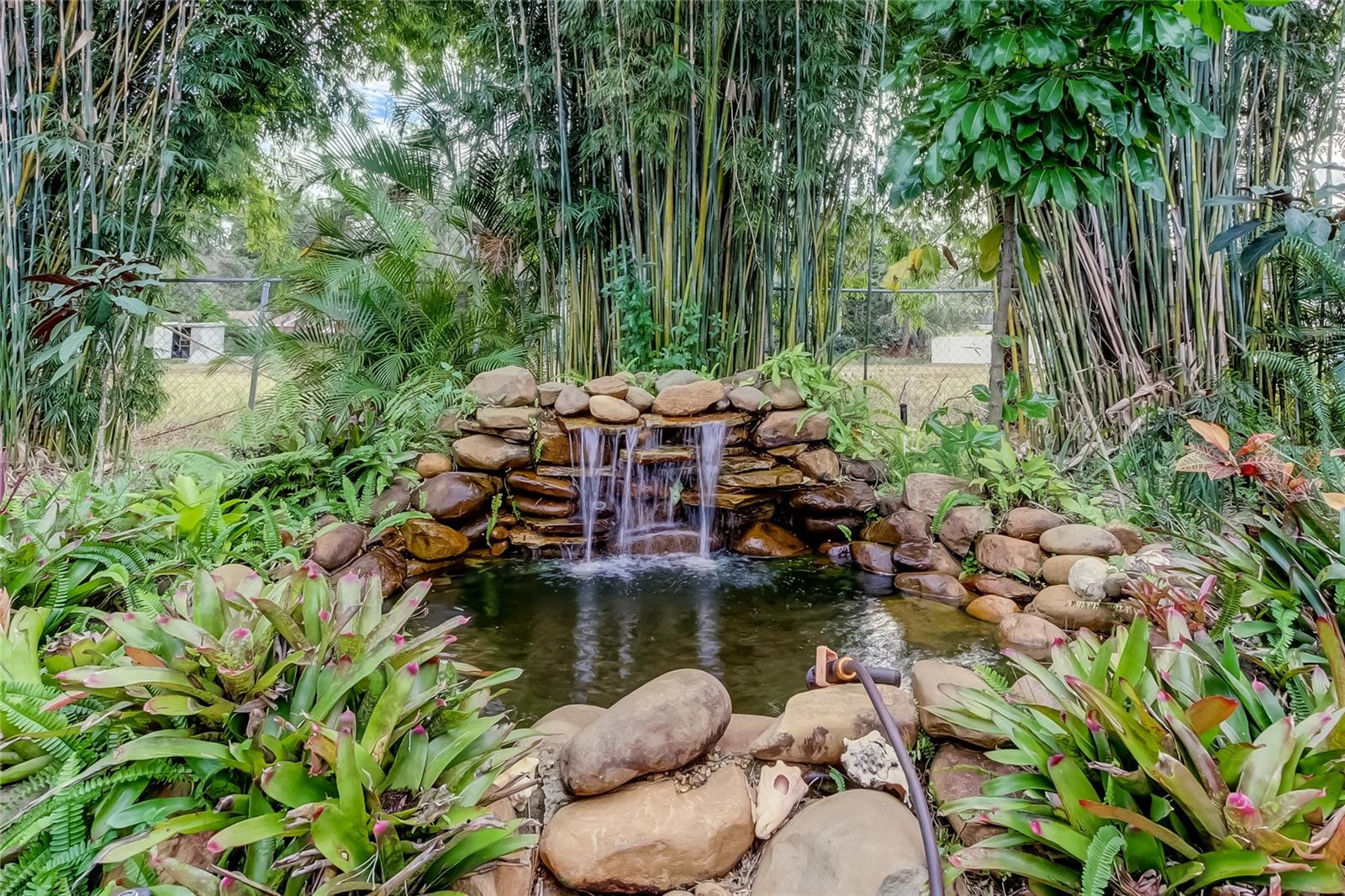 900 gallon pond for your fish.