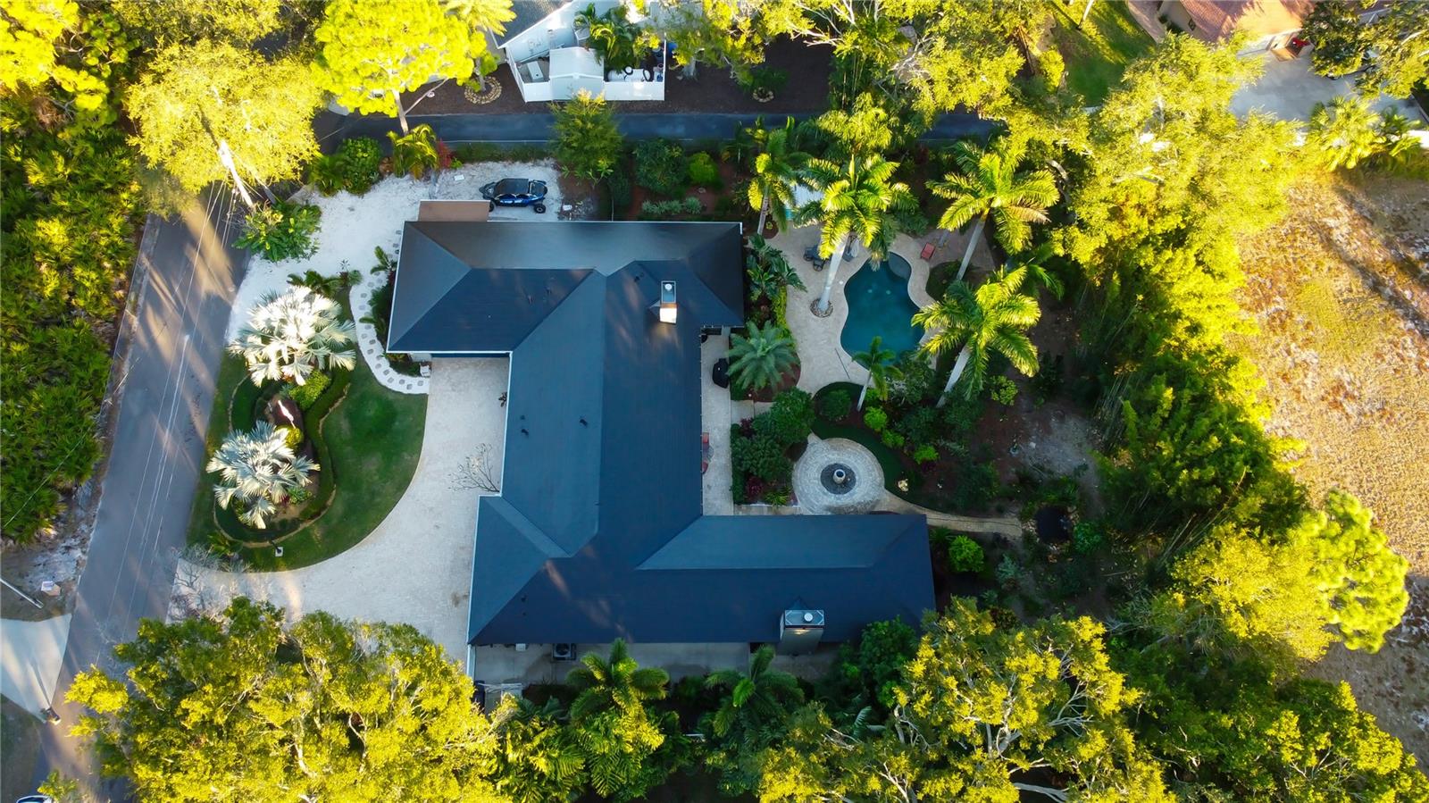Over an 1/2 acre of private grounds, look at the size of your palms.