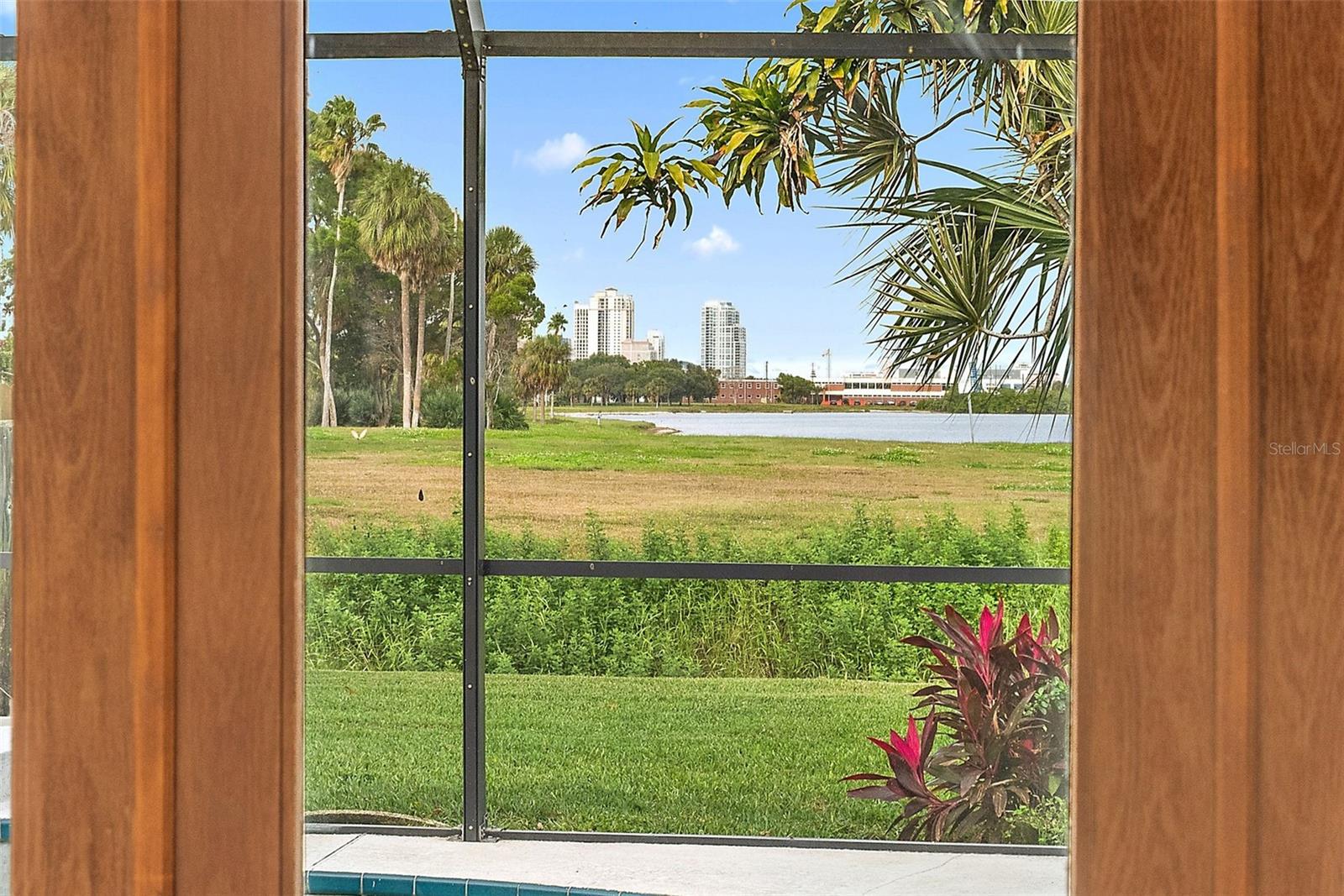 View of Downtown from Pool / Lanai