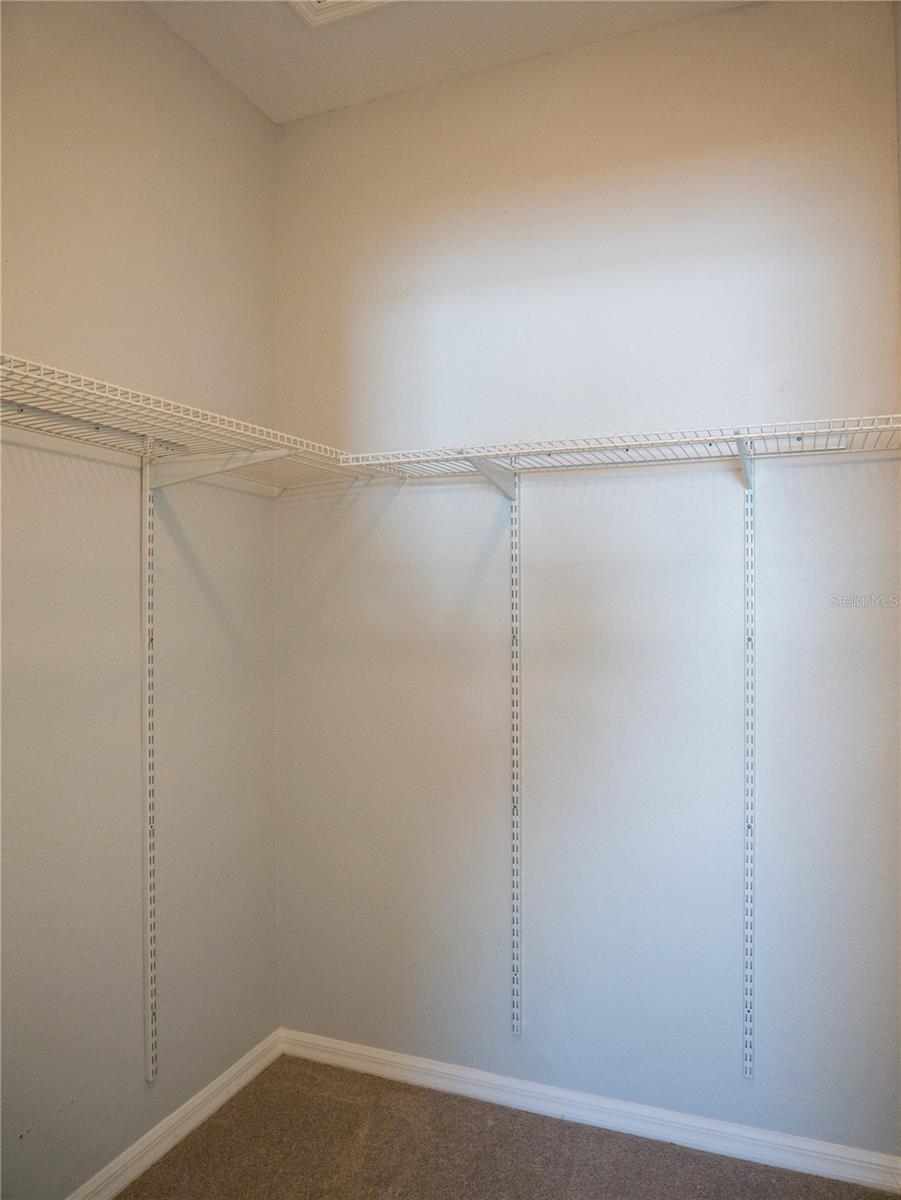 Primary Walk-in Closet #1