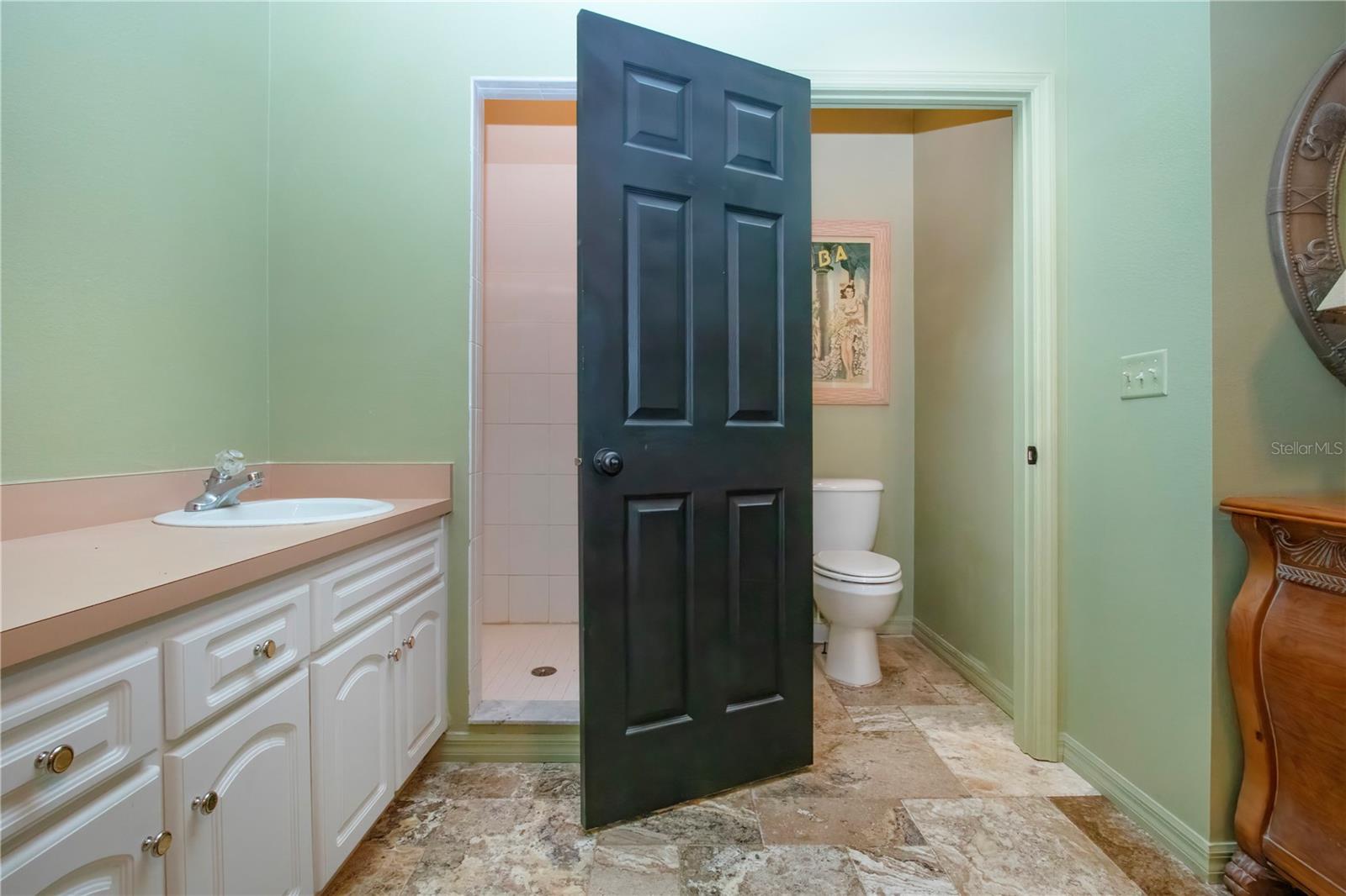 2nd bedroom with ensuite bathroom and private entry