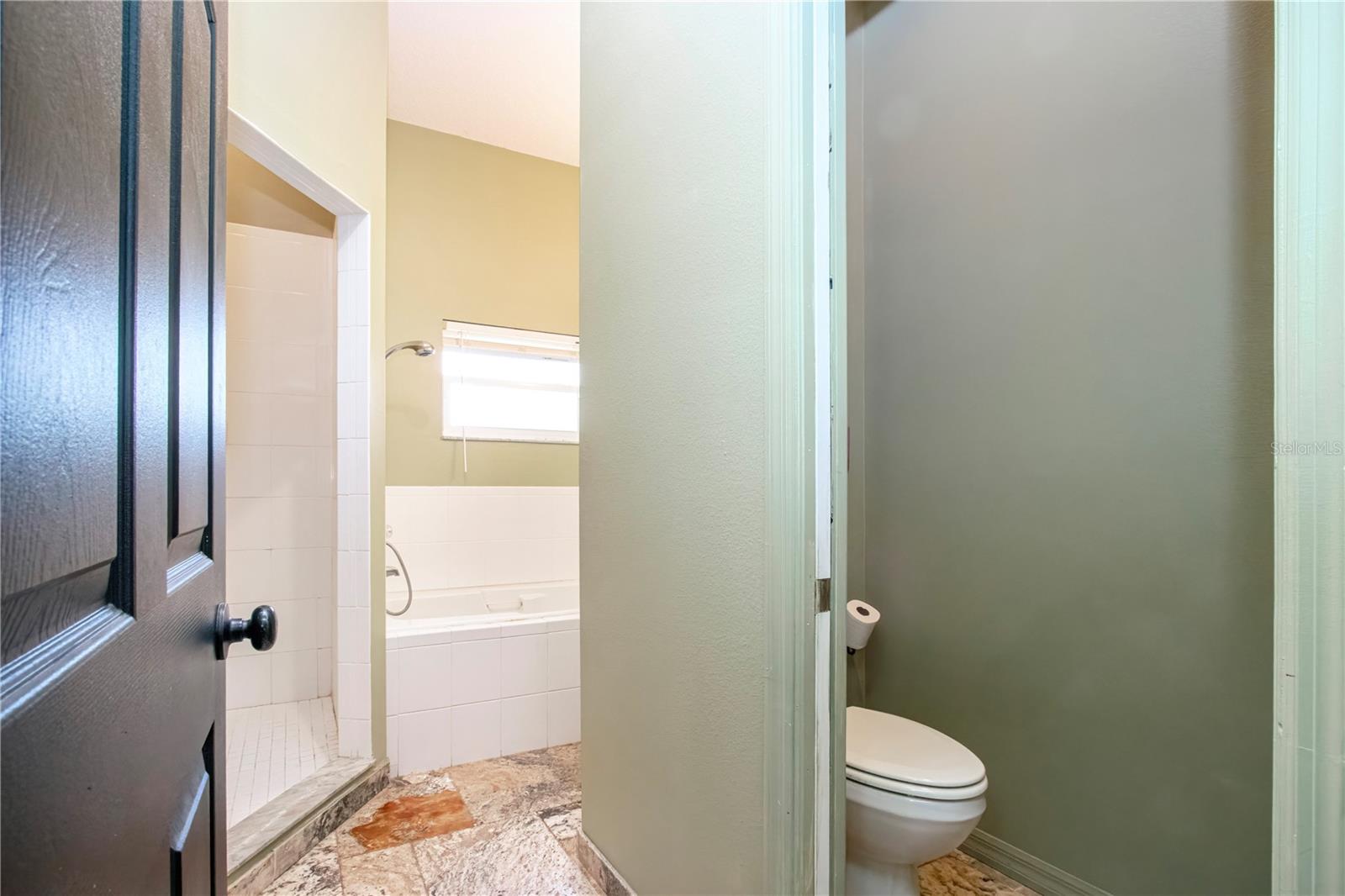 separate water closet soaking tub and stand alone shower stall