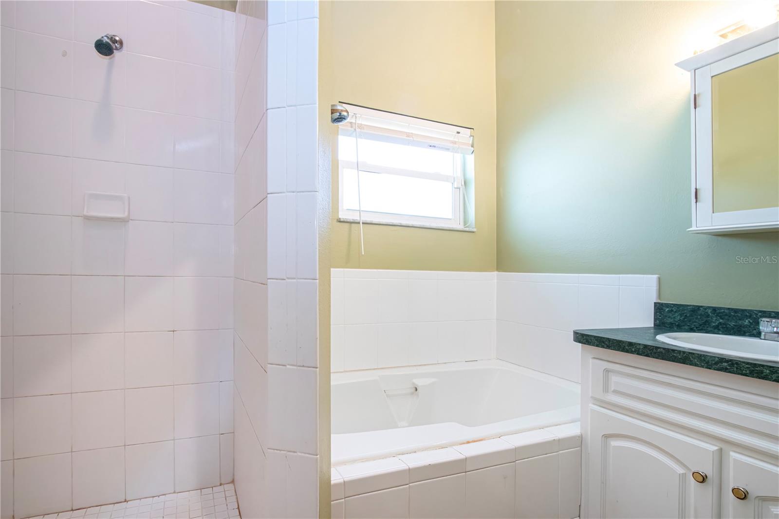 primary ensuite bathroom