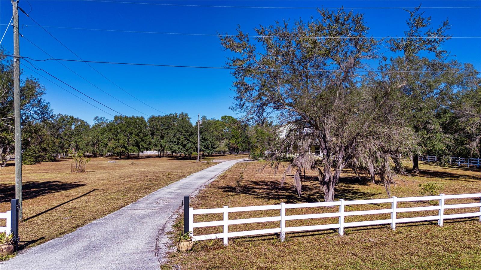 Driveway and fence which surrounds both lots