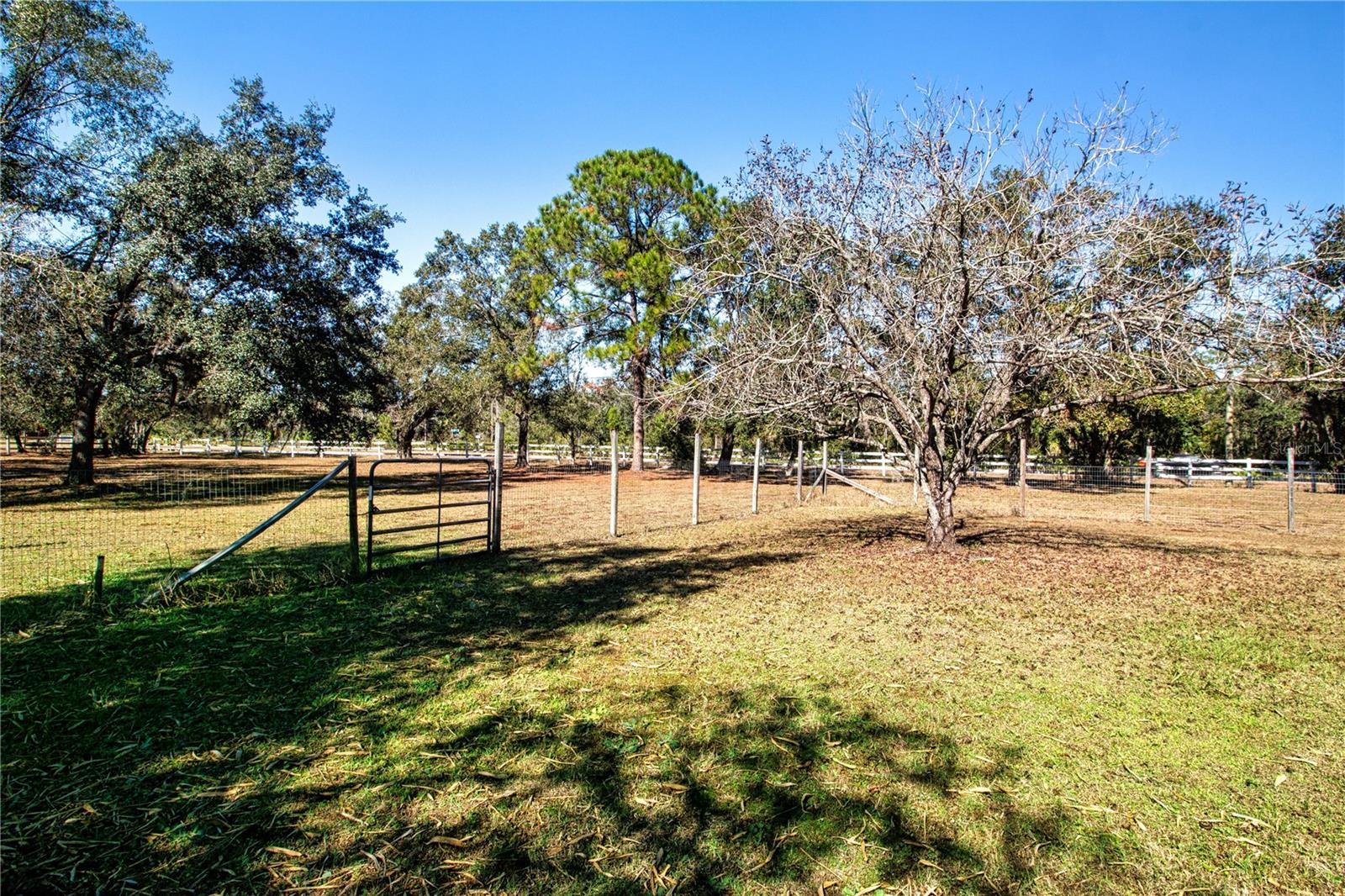 view of both parcels