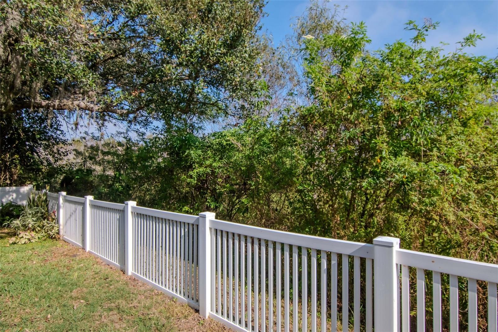 Back Fenced Yard On Conservation