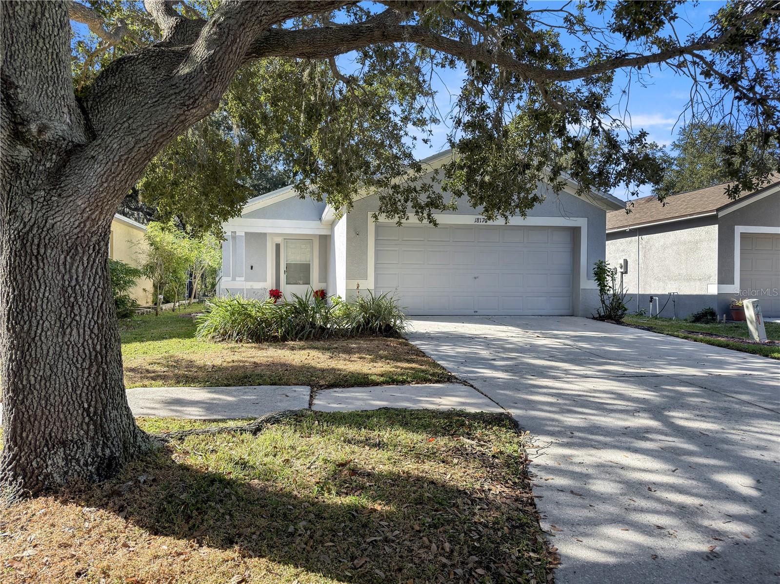Landscaped lawn, front trees maintained by HOA